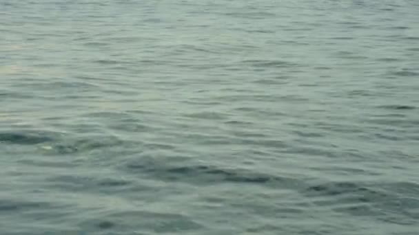 Eau de mer au coucher du soleil. Gros plan. Charm-el-Cheikh. Égypte .