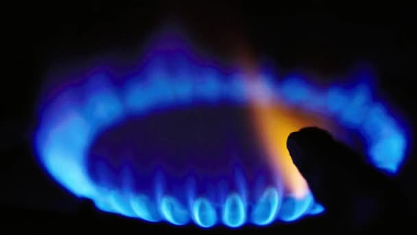 Fuego en una estufa de gas en una estufa de gas — Vídeos de Stock