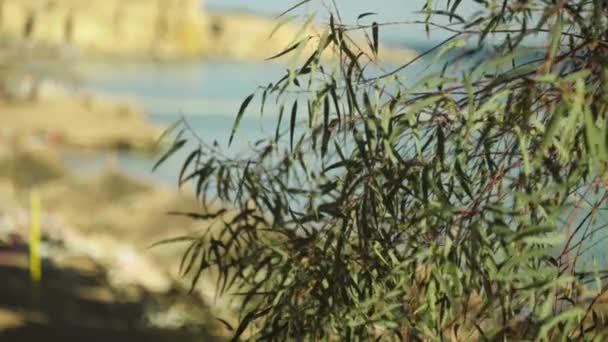 Paisaje ciudad turística junto al mar. Sharm-el-Sheikh. Egipto . — Vídeo de stock