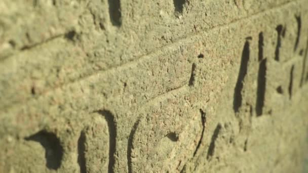 Close-up of hieroglyphs. Cairo. Egypt. — ストック動画