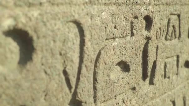 Close-up of hieroglyphs. Cairo. Egypt. — Stockvideo