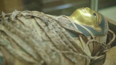 Annem müzede. Kahire. Mısır.