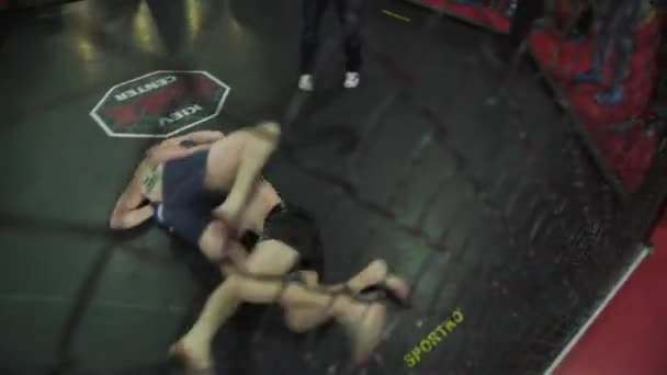 Vechten in de Mma octagon. Kiev. Oekraïne — Stockvideo