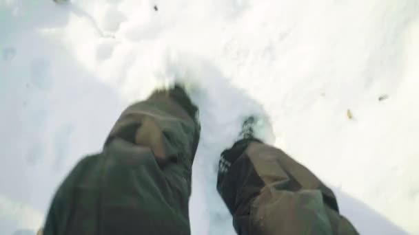 En man gick vilse i en snöig skog på vintern. Pov — Stockvideo