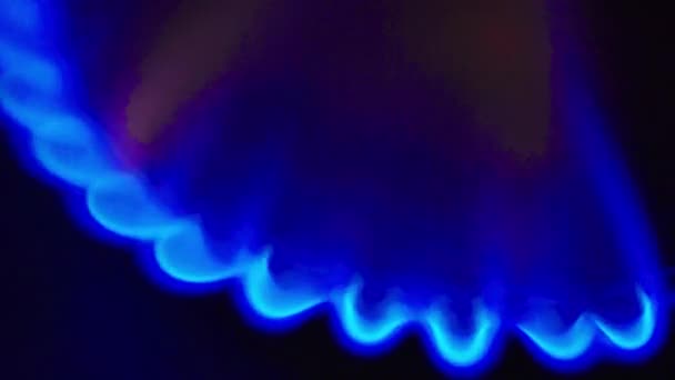 Fire in a gas stoker on a gas stove — Stock Video