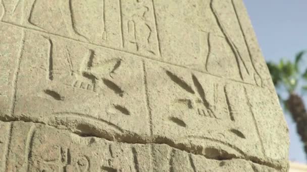 Primer plano de los jeroglíficos. El Cairo. Egipto . — Vídeo de stock