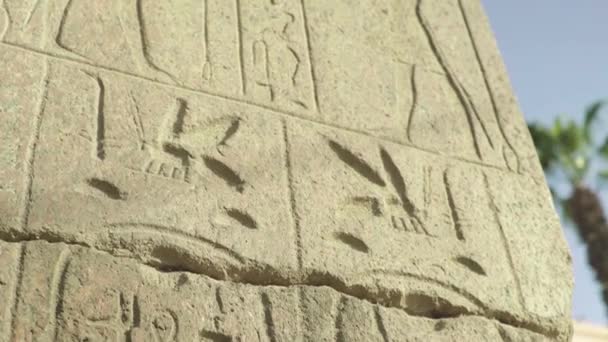 Close-up of hieroglyphs. Cairo. Egypt. — Stockvideo