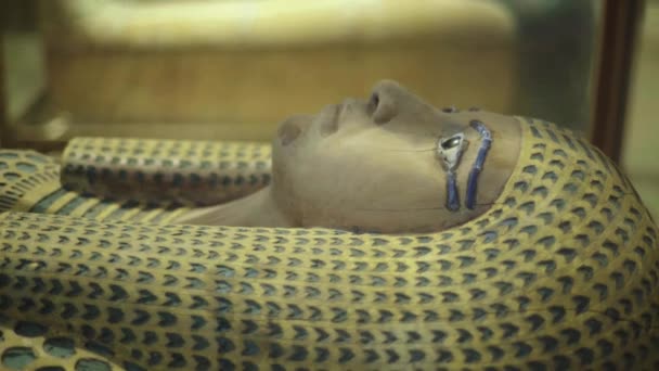 妈妈在博物馆里。 开罗。 埃及. — 图库视频影像