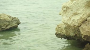 Taşlı deniz kıyısı. Şeyh Sharm. Mısır.