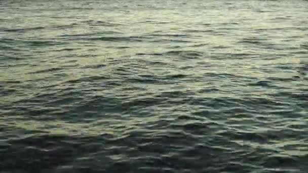 Sea water at sunset. Close-up. Sharm-el-Sheikh. Egypt. — Stockvideo