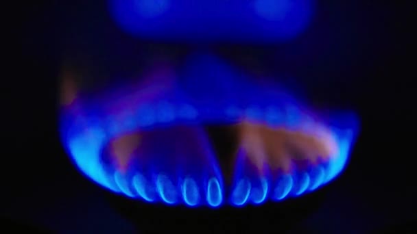 Fuego en una estufa de gas en una estufa de gas — Vídeo de stock