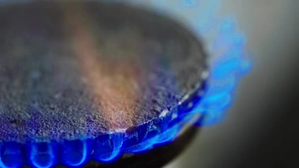 Fuoco in un focolare a gas su una stufa a gas — Video Stock