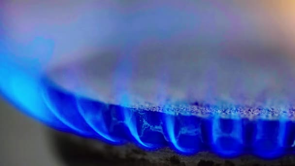 Brand in een gasfornuis op een gasfornuis — Stockvideo