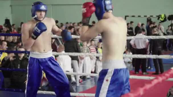 Kickboxing. La rissa sul ring. Competizione. Kiev. Ucraina — Video Stock