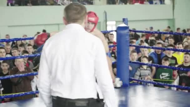 Kickboxing. Le combat sur le ring. La concurrence. Kiev. Ukraine — Video