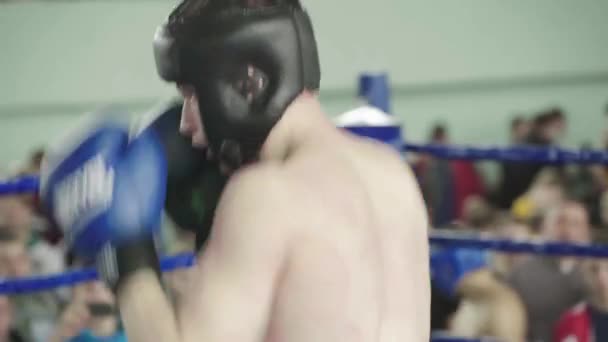 Kickboxning. Striden i ringen. Konkurrens. Kiev. Ukraina — Stockvideo