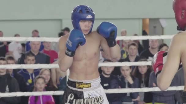 キックボクシングだ指輪の戦いだ競争だキエフ。ウクライナだスローモーション — ストック動画