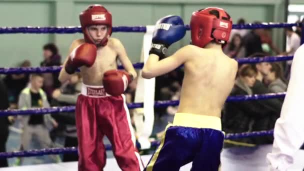 Kickboxing. A luta no ringue. Competição. Kiev. Ucrânia. Movimento lento — Vídeo de Stock