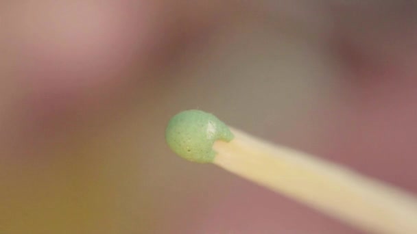 A match is set on fire. Close-up. Macro. Slow motion — Stock Video