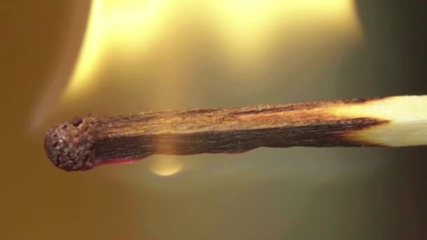 En tändsticka brinner. Närbild. Makro. Långsamma rörelser — Stockvideo