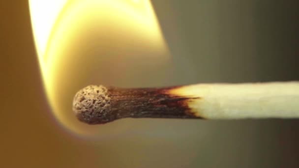 A match is set on fire. Close-up. Macro. Slow motion — Stock Video