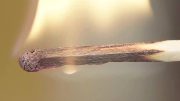 Zápalka se zapálila. Detailní záběr. Makro. Zpomalený pohyb — Stock video