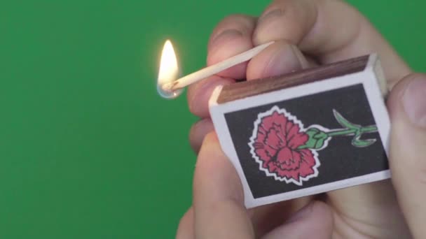 A match is set on fire. Close-up. Macro. Slow motion. Green background. Chromakey — Stock Video