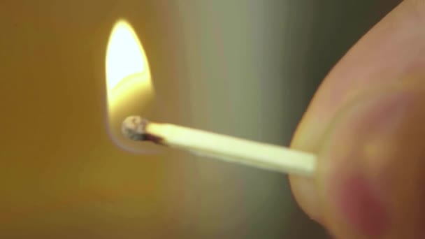 Burning match fire. Close-up. Macro. — Stock Video