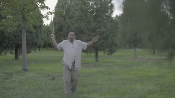 Egy férfi ostorral a parkban. Peking. Kína. Ázsia — Stock videók