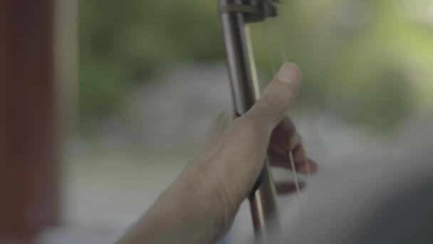 Male musician plays in the park. Beijing. China. Asia — Stock Video