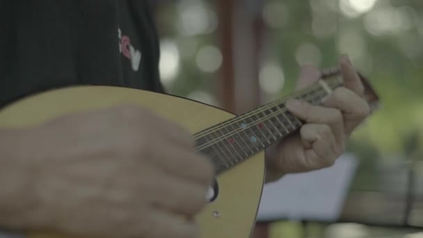 Male musician plays in the park. Beijing. China. Asia — Stock Video