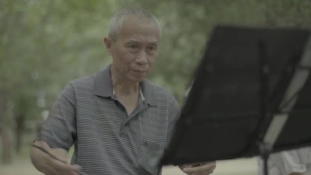 Мужчина-музыкант играет в парке. Пекин. Китай. Азия — стоковое видео
