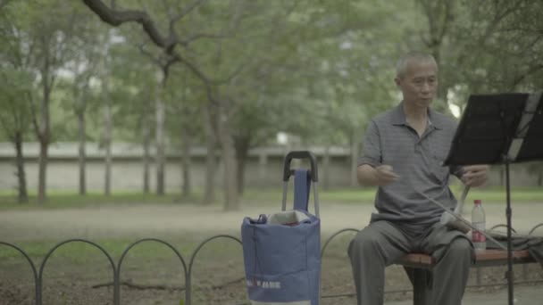 El músico masculino toca en el parque. Beijing. De China. Países Bajos — Vídeo de stock