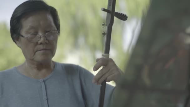 Γυναίκα μουσικός στο πάρκο. Πεκίνο. Στην Κίνα. Ασία — Αρχείο Βίντεο