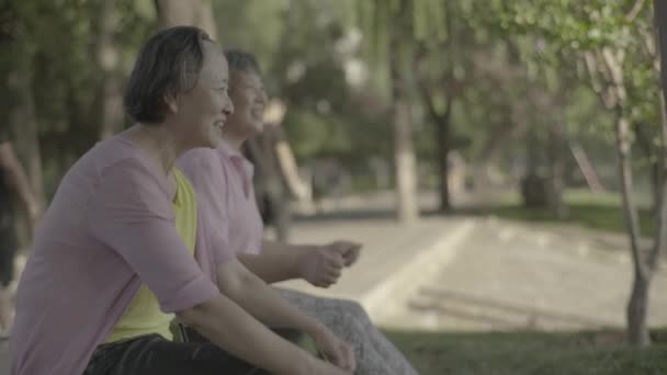 Seorang pensiunan wanita di taman. Beijing. Cina. Asia — Stok Video