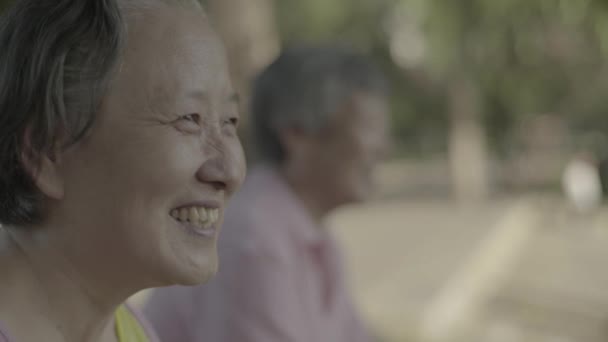 Женщина-пенсионер в парке. Пекин. Китай. Азия — стоковое видео