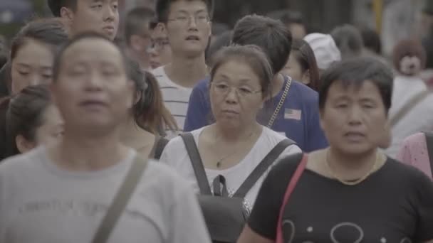 Una multitud de personas en las calles de la ciudad. Beijing. De China. Países Bajos — Vídeos de Stock