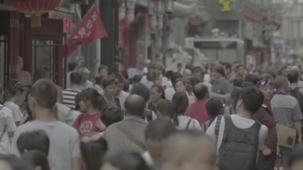 Una multitud de personas en las calles de la ciudad. Beijing. De China. Países Bajos — Vídeos de Stock