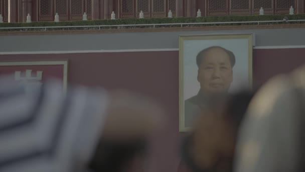 Menschen auf dem Platz des himmlischen Friedens. Peking. China. Asien — Stockvideo