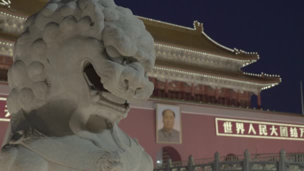 Pessoas na Praça Tiananmen. Pequim. A China. Ásia — Vídeo de Stock
