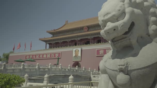 Pessoas na Praça Tiananmen. Pequim. A China. Ásia — Vídeo de Stock