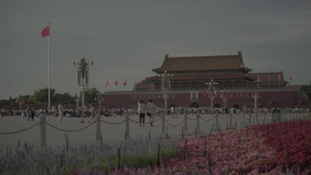 Ludzie na placu Tiananmen. Pekin. W Chinach. Azja — Wideo stockowe