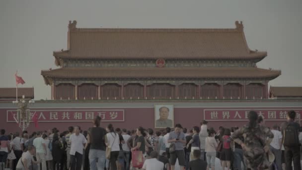 Menschen auf dem Platz des himmlischen Friedens. Peking. China. Asien — Stockvideo