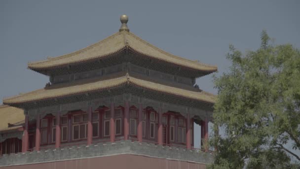 Chinesische Architektur. Peking. China. Asien — Stockvideo