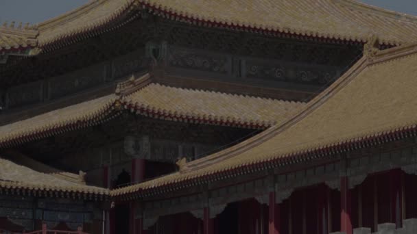 Kinesisk arkitektur. Peking. Kina. Asien — Stockvideo