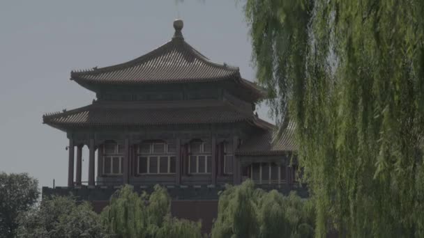 Kinesisk arkitektur. Peking. Kina. Asien — Stockvideo