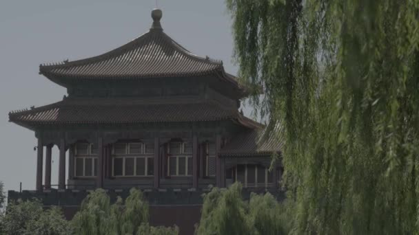 Chinesische Architektur. Peking. China. Asien — Stockvideo