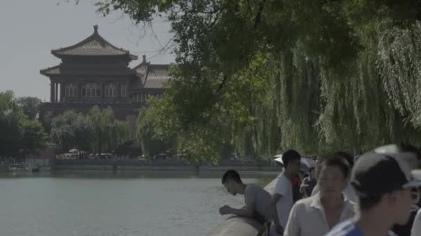 Chinesische Architektur. Peking. China. Asien — Stockvideo