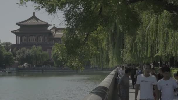 Çin mimarisi. Pekin 'de. Çin. Asya — Stok video
