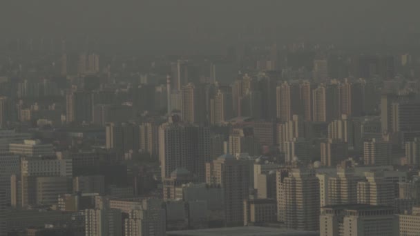 Vista de la ciudad desde una altura. Paisaje. Beijing. De China. Países Bajos — Vídeos de Stock